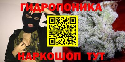 ECSTASY Брянск