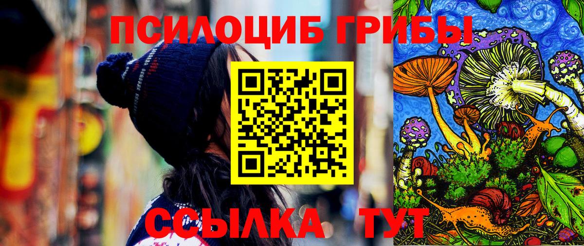 Псилоцибиновые грибы Magic Shrooms  Галлюциногенные грибы Cubensis  Вход с VPN  Камышин 
