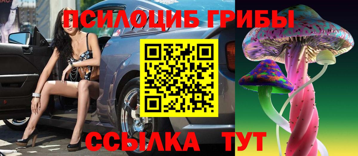 Псилоцибиновые грибы Psilocybe Камышин