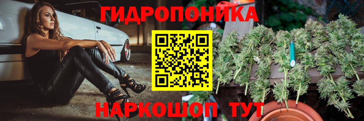 МАРИХУАНА индика  Шишки марихуана план  Камышин  Вход с VPN  Шишки марихуана тримм 